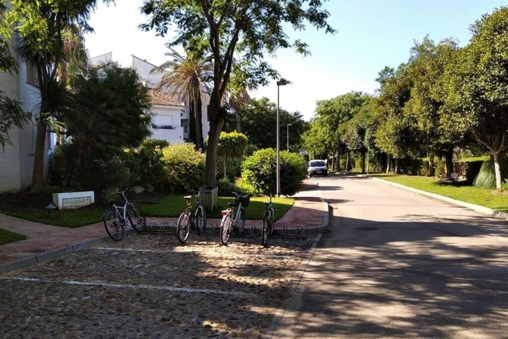 רוטה Apartamento En Playa Del Infante מראה חיצוני תמונה